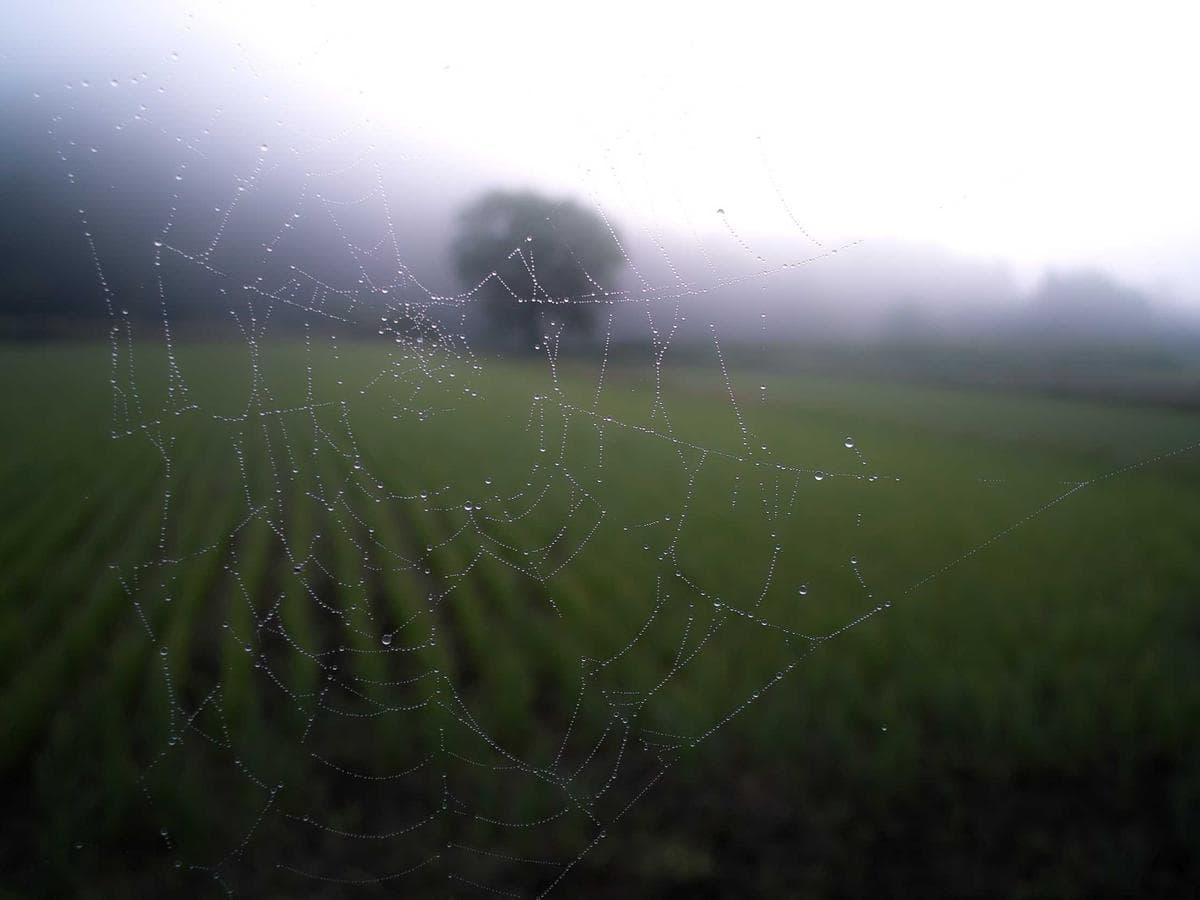 Nova — Bot de ventas por WhatsApp con IA